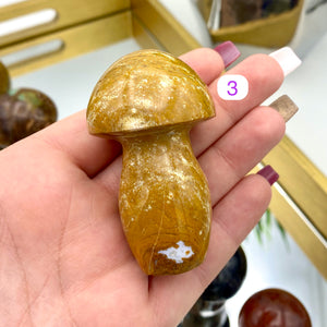 Ocean Jasper Mushrooms