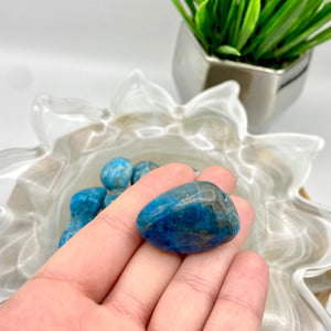 Blue Apatite Tumbles