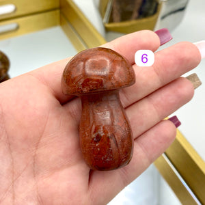 Ocean Jasper Mushrooms