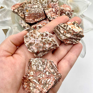 Leopard Skin Jasper Rough Stone