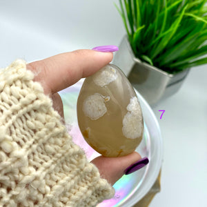 Flower Agate Palm Stones