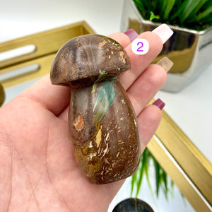 Ocean Jasper Mushrooms