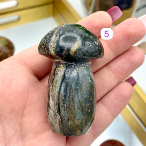 Ocean Jasper Mushrooms