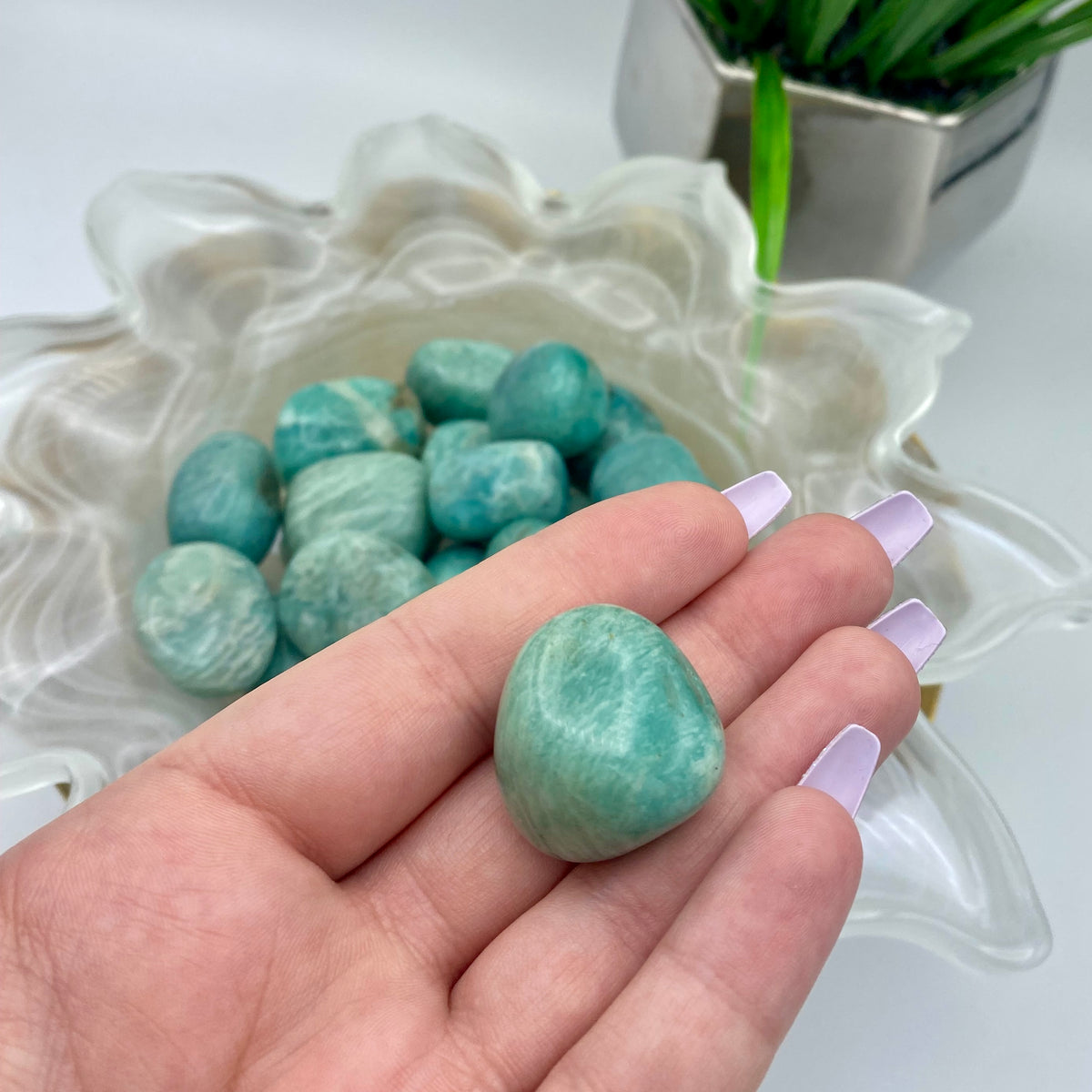 Amazonite Tumbles