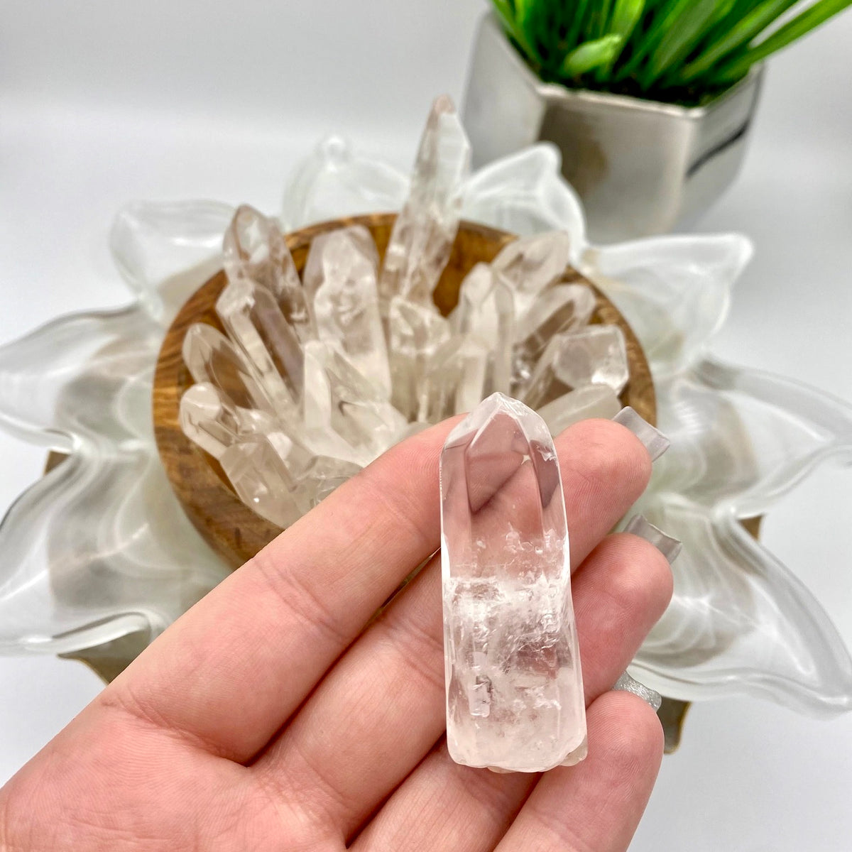 Clear Quartz Points