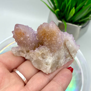 Amethyst Spirit Quartz / Cactus Quartz Cluster #4