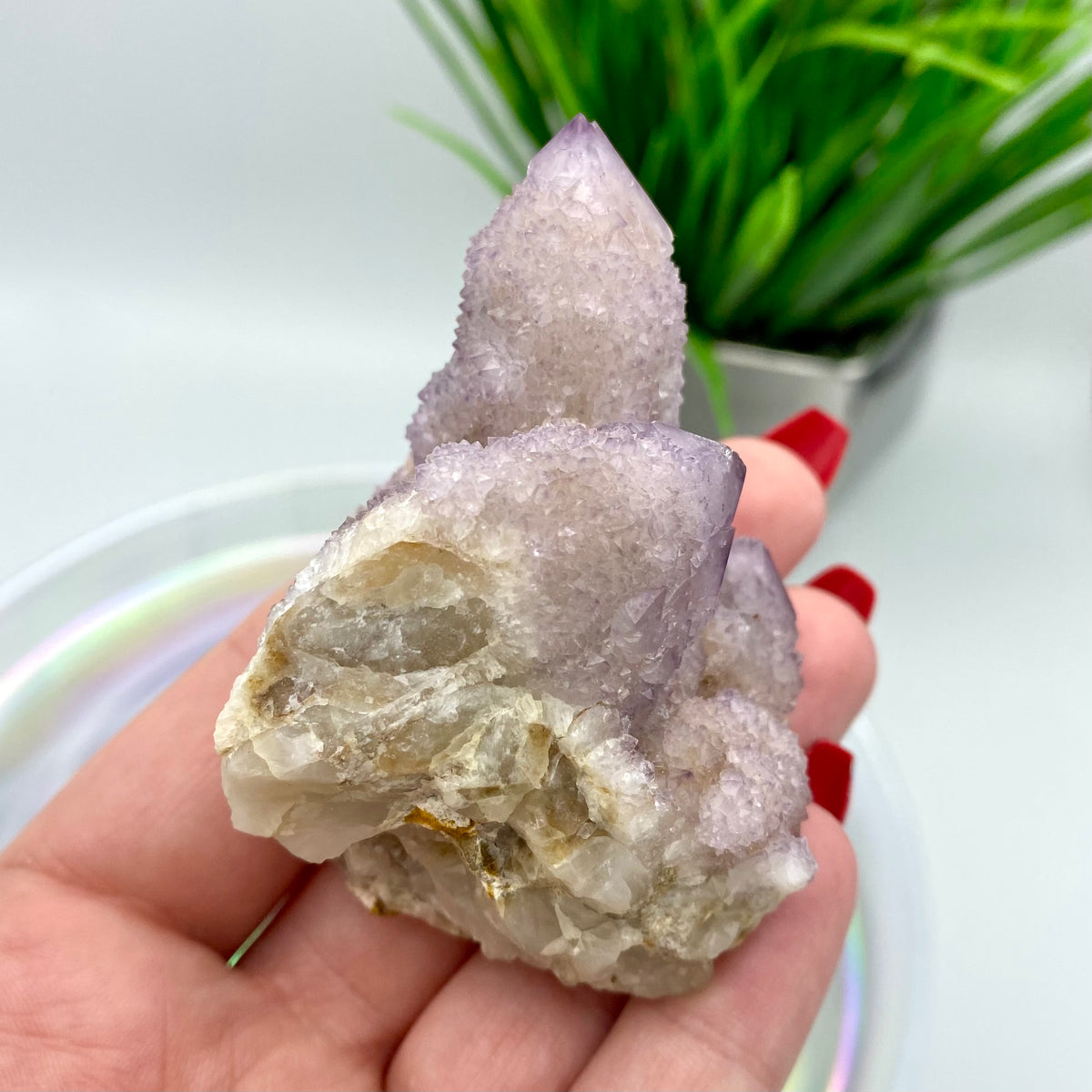 Amethyst Spirit Quartz / Cactus Quartz Cluster #2