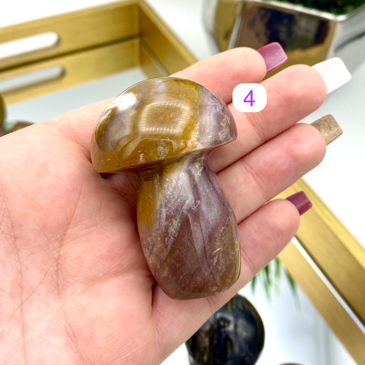 Ocean Jasper Mushrooms