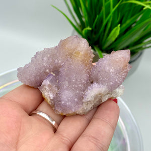 Amethyst Spirit Quartz / Cactus Quartz Cluster #4