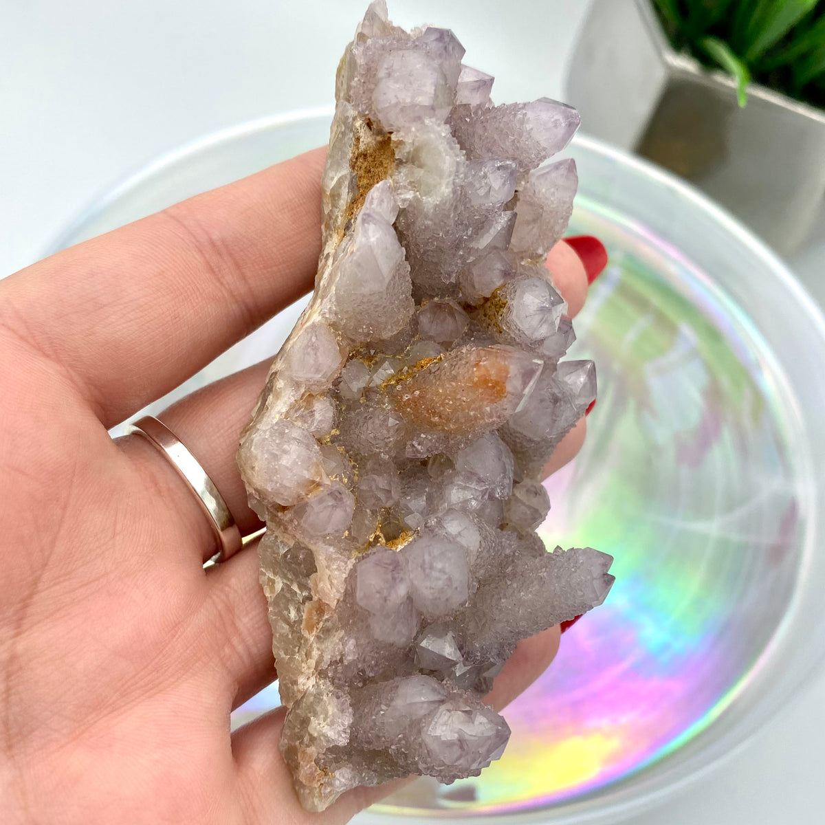 Amethyst Spirit Quartz / Cactus Quartz Cluster #3