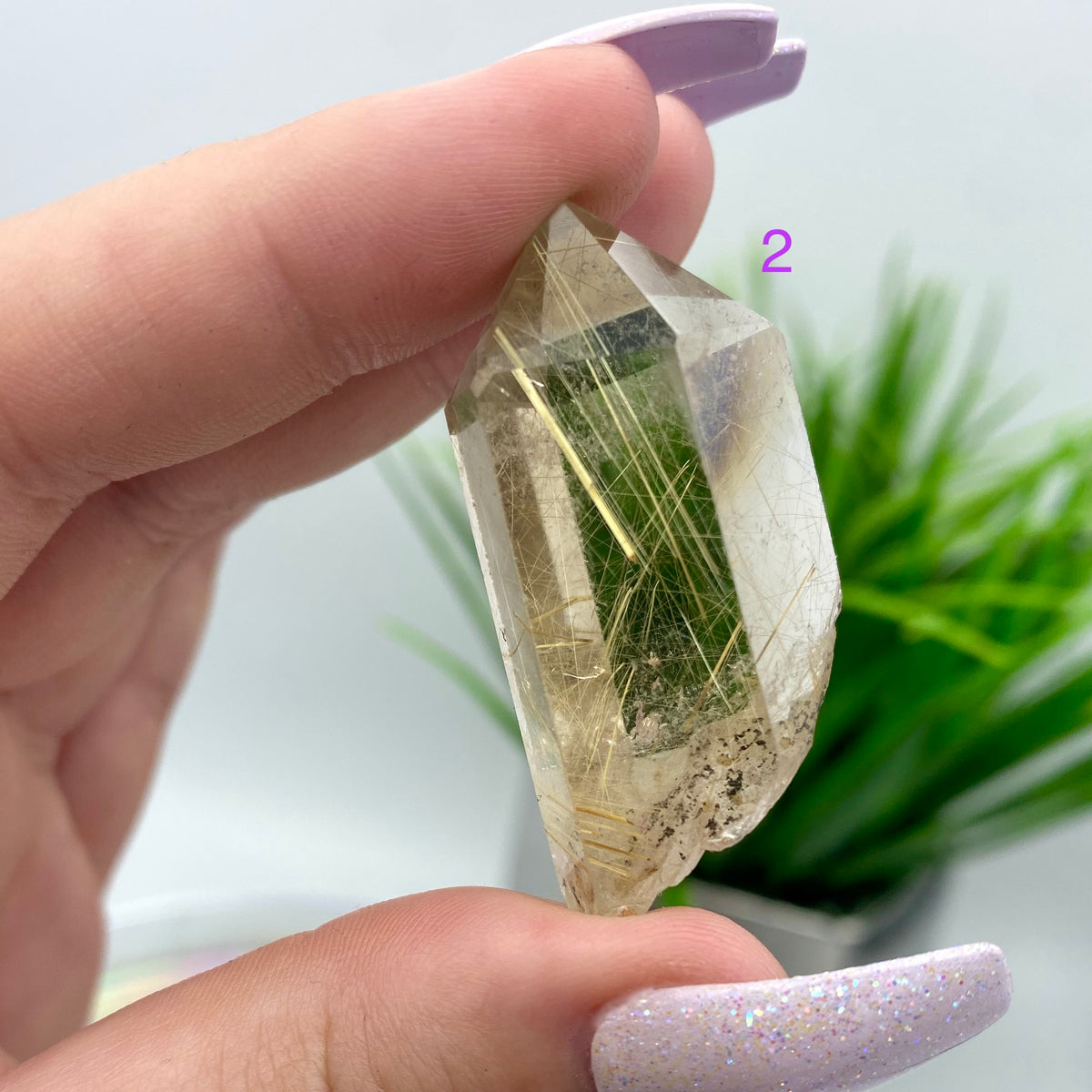 Rutilated Quartz Points