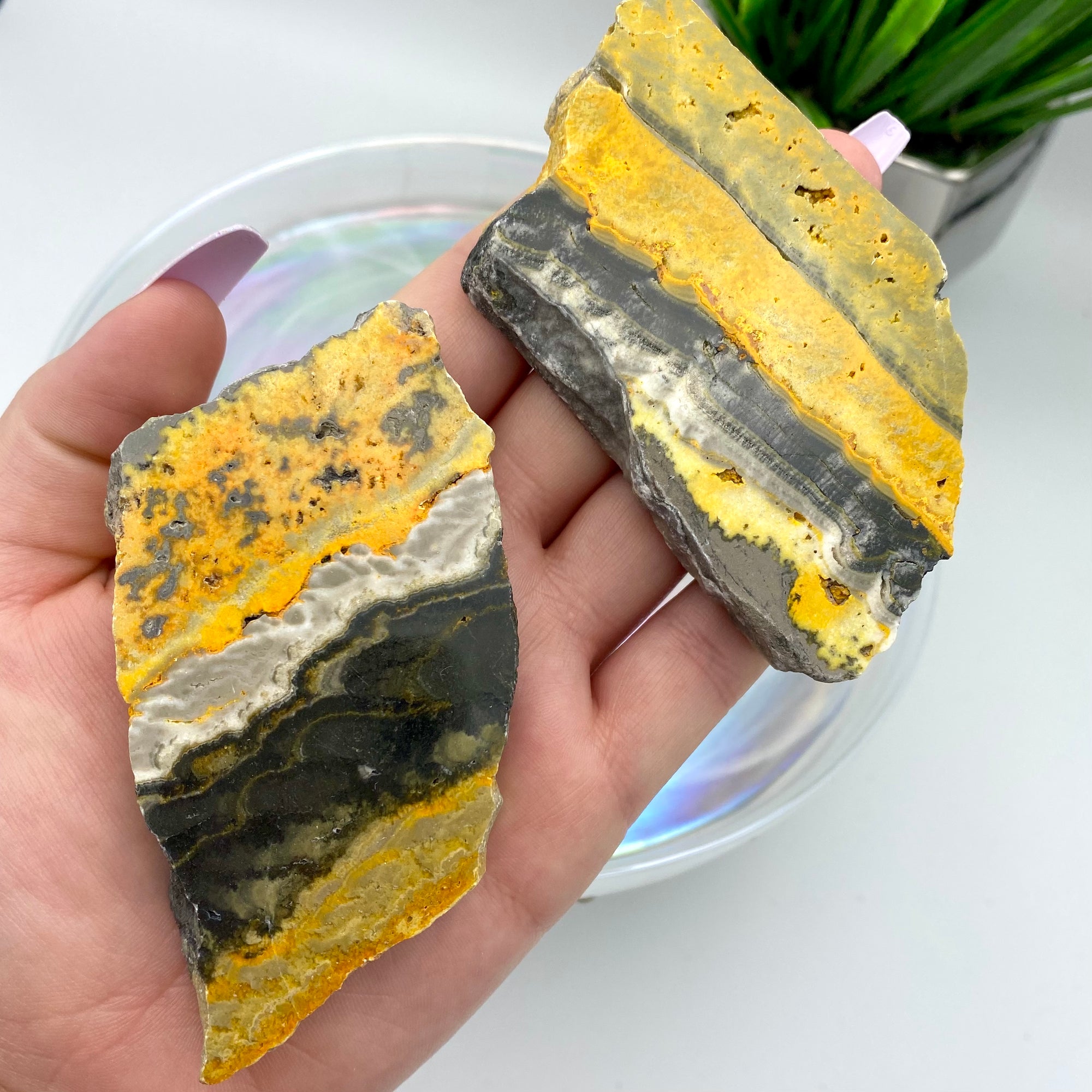 Bumblebee Jasper Slabs