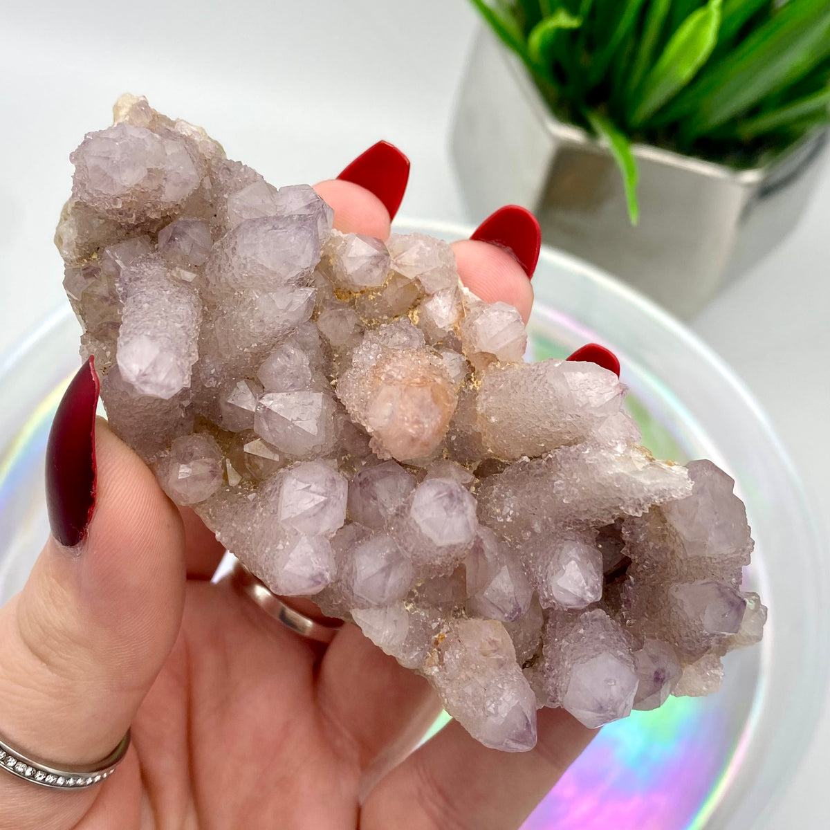 Amethyst Spirit Quartz / Cactus Quartz Cluster #3