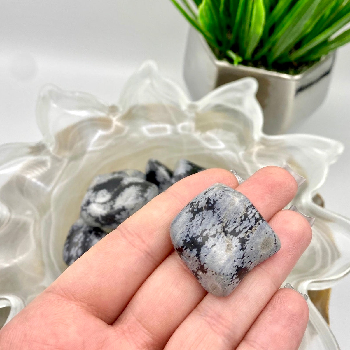Snowflake Obsidian Large Tumbles
