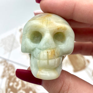 Caribbean Calcite Skull