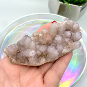 Amethyst Spirit Quartz / Cactus Quartz Cluster #3