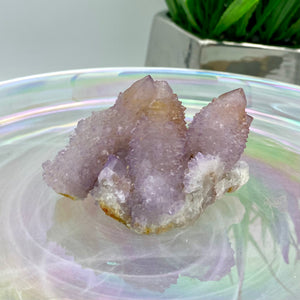 Amethyst Spirit Quartz / Cactus Quartz Cluster #4