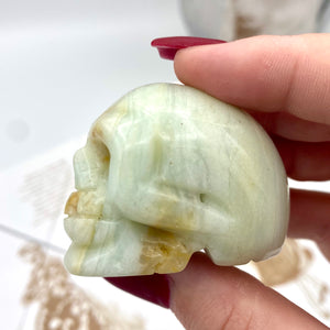 Caribbean Calcite Skull