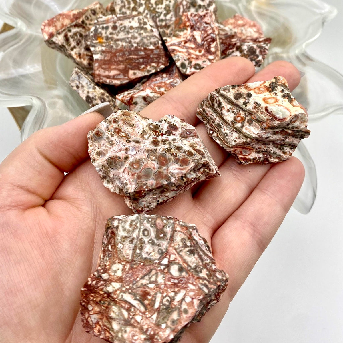 Leopard Skin Jasper Rough Stone