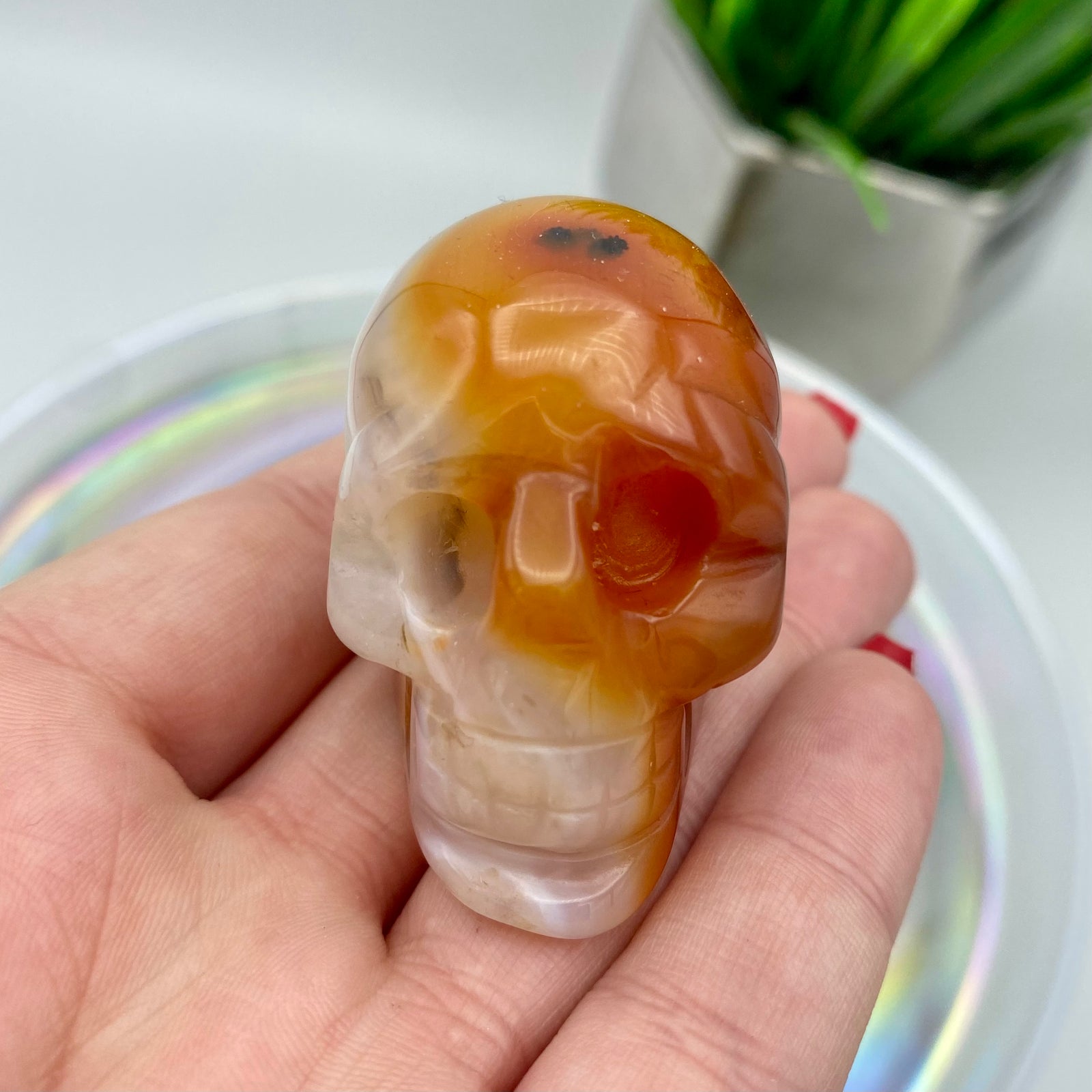 Carnelian Skull #4