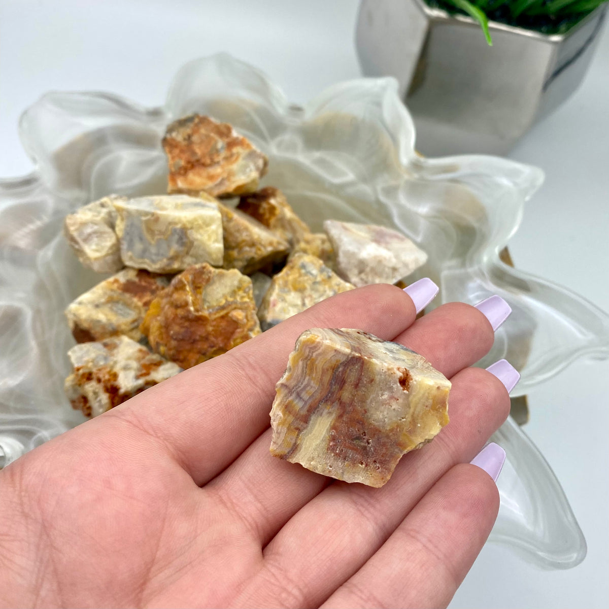 Crazy Lace Agate Rough Stone