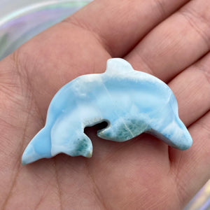 Larimar Dolphin