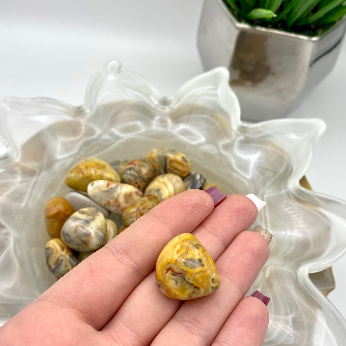 Crazy Lace Agate Tumbles