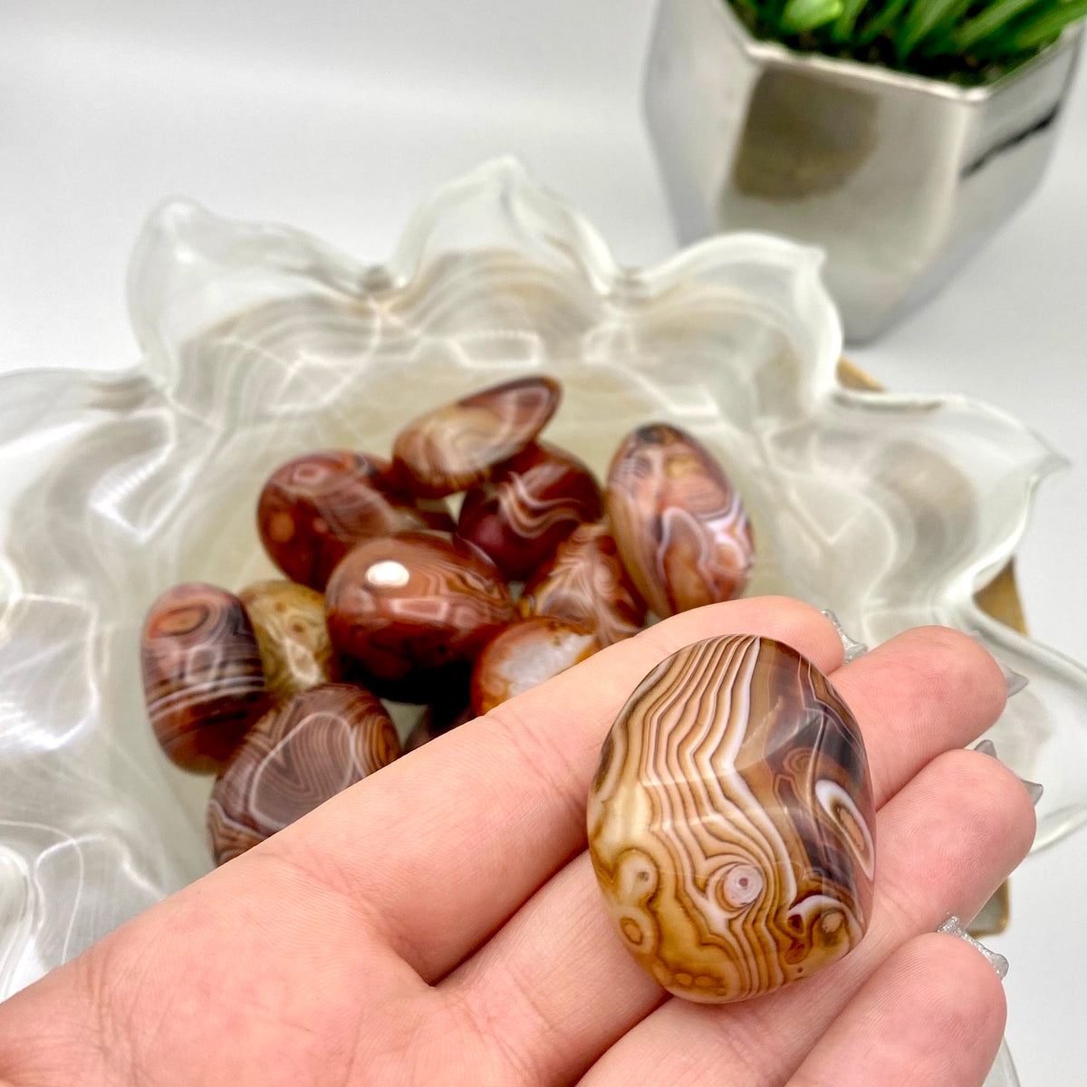 Sardonyx Large Tumbles