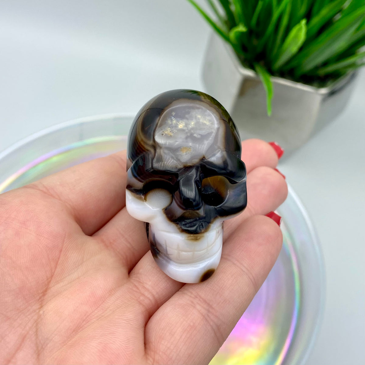Black Agate Skull