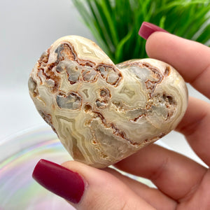 Crazy Lace Agate Heart #2