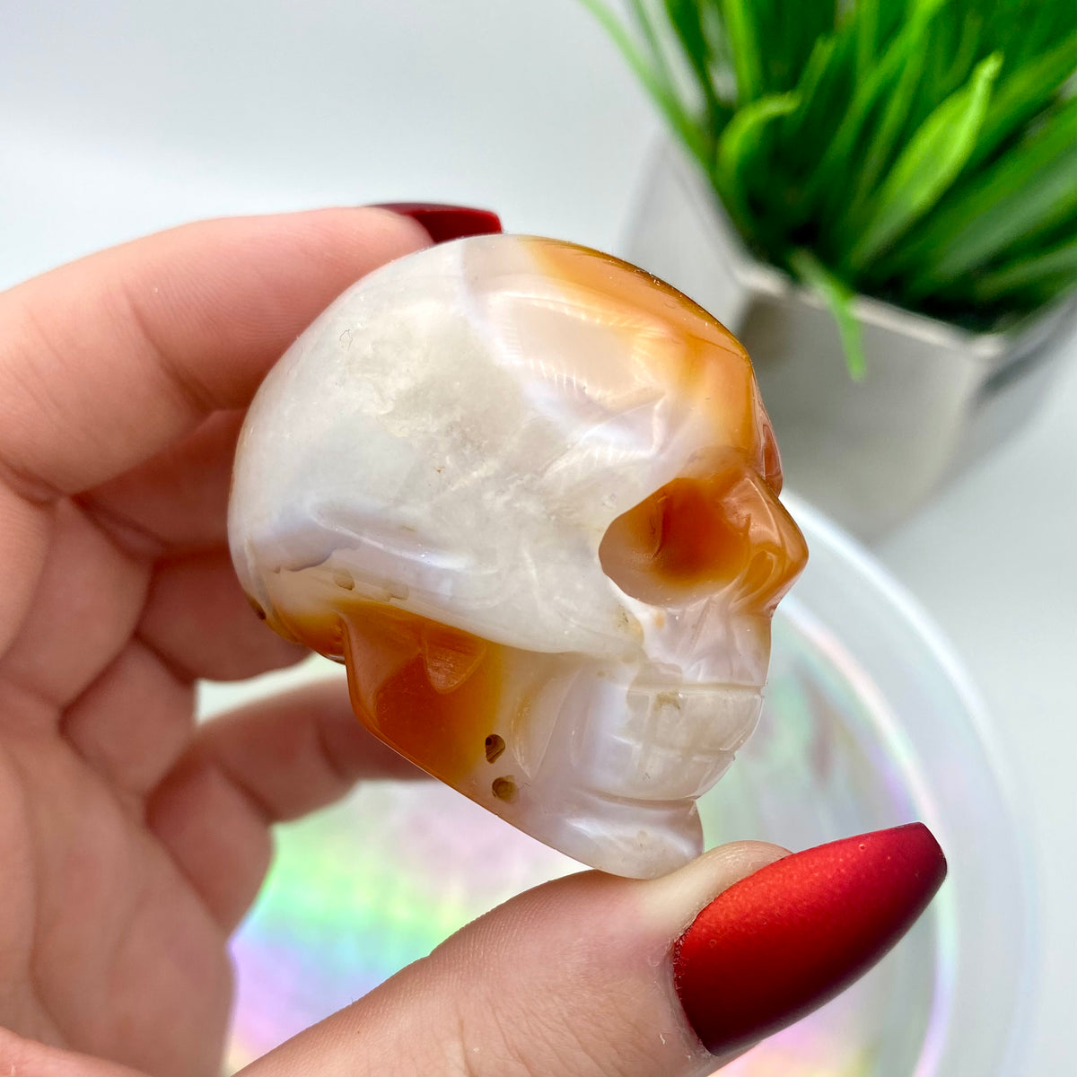 Carnelian Skull #4