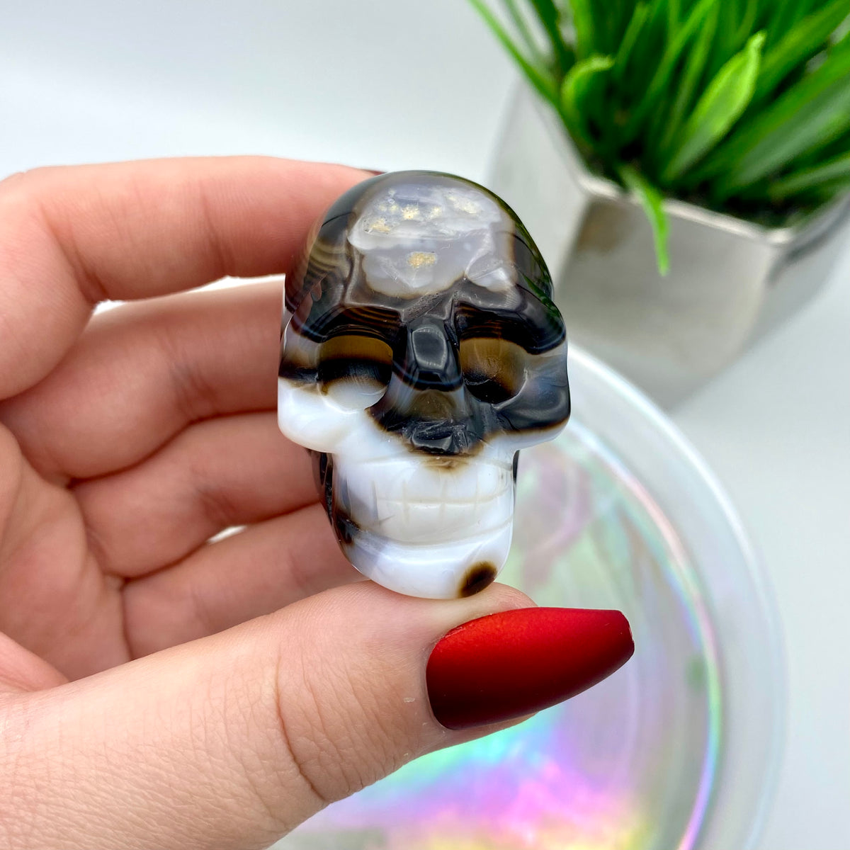 Black Agate Skull