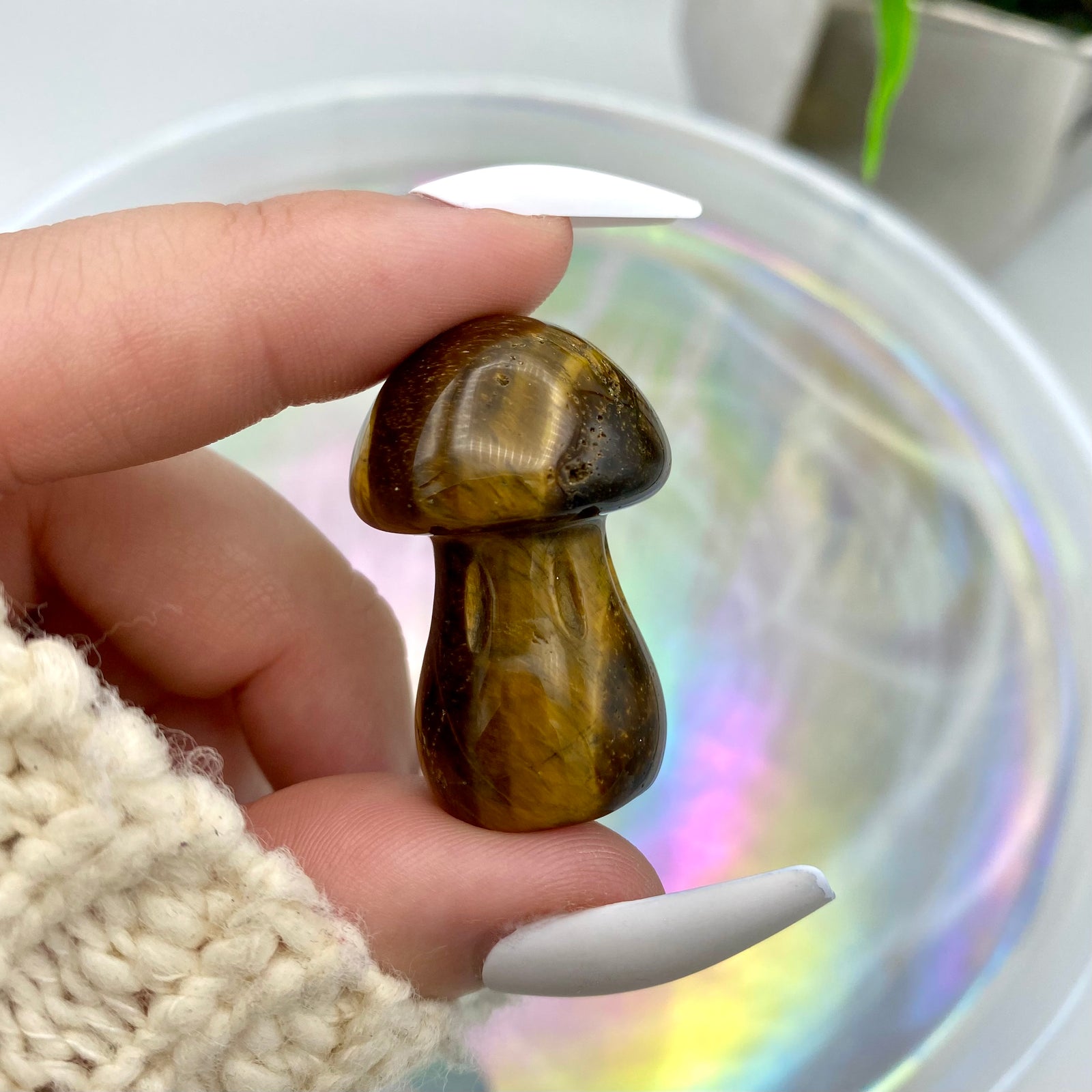 Tiger's Eye Mushrooms