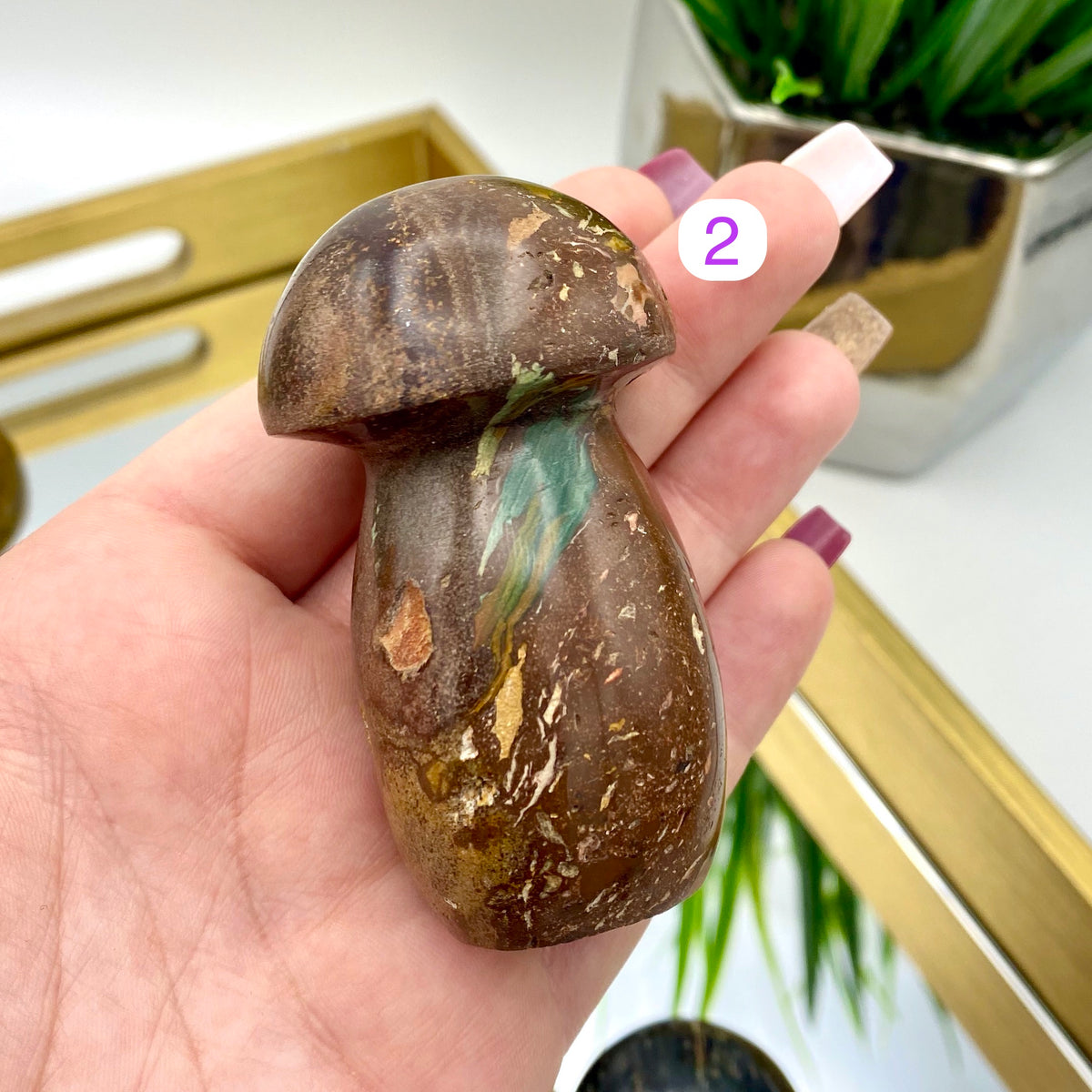 Ocean Jasper Mushrooms