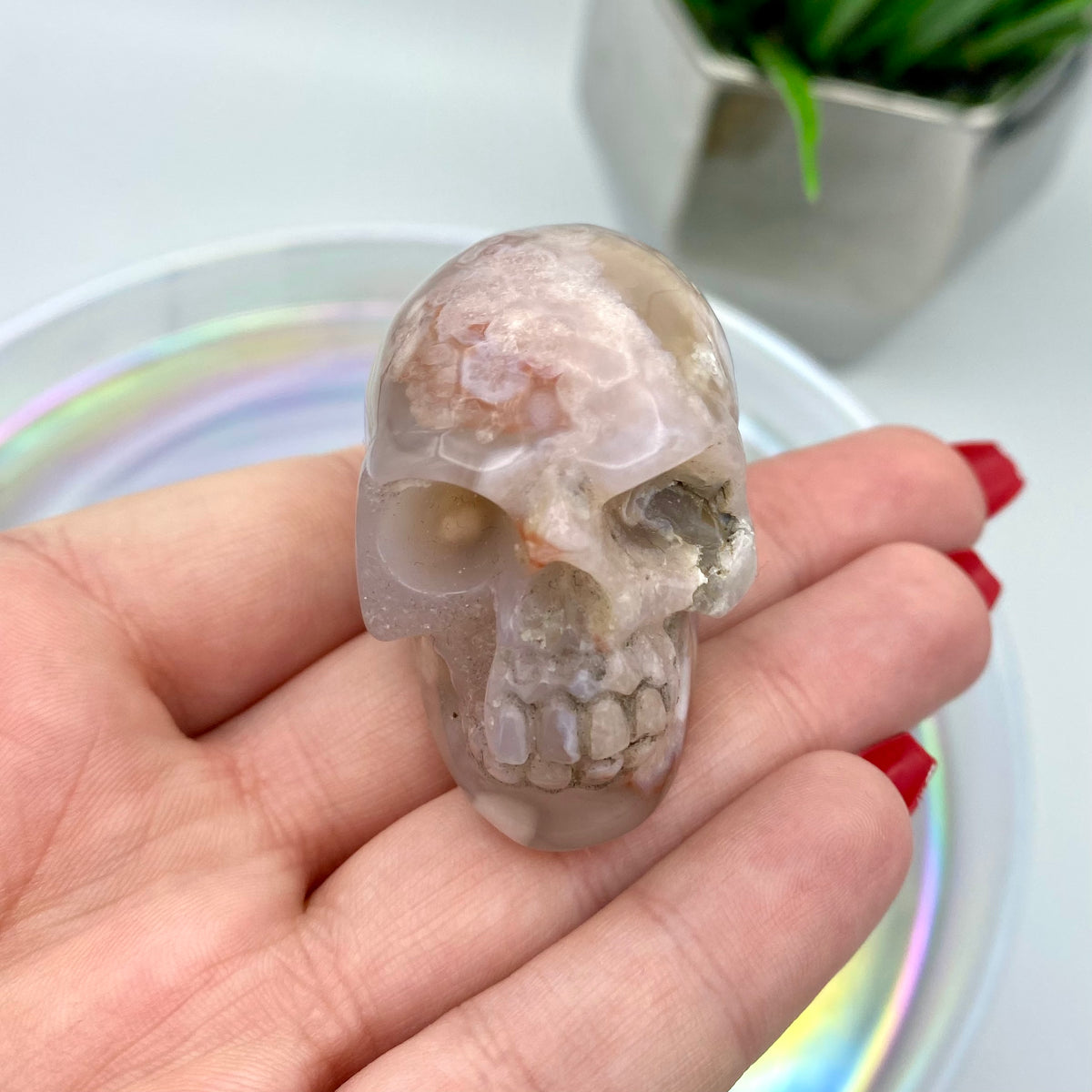 Flower Agate Skull #2