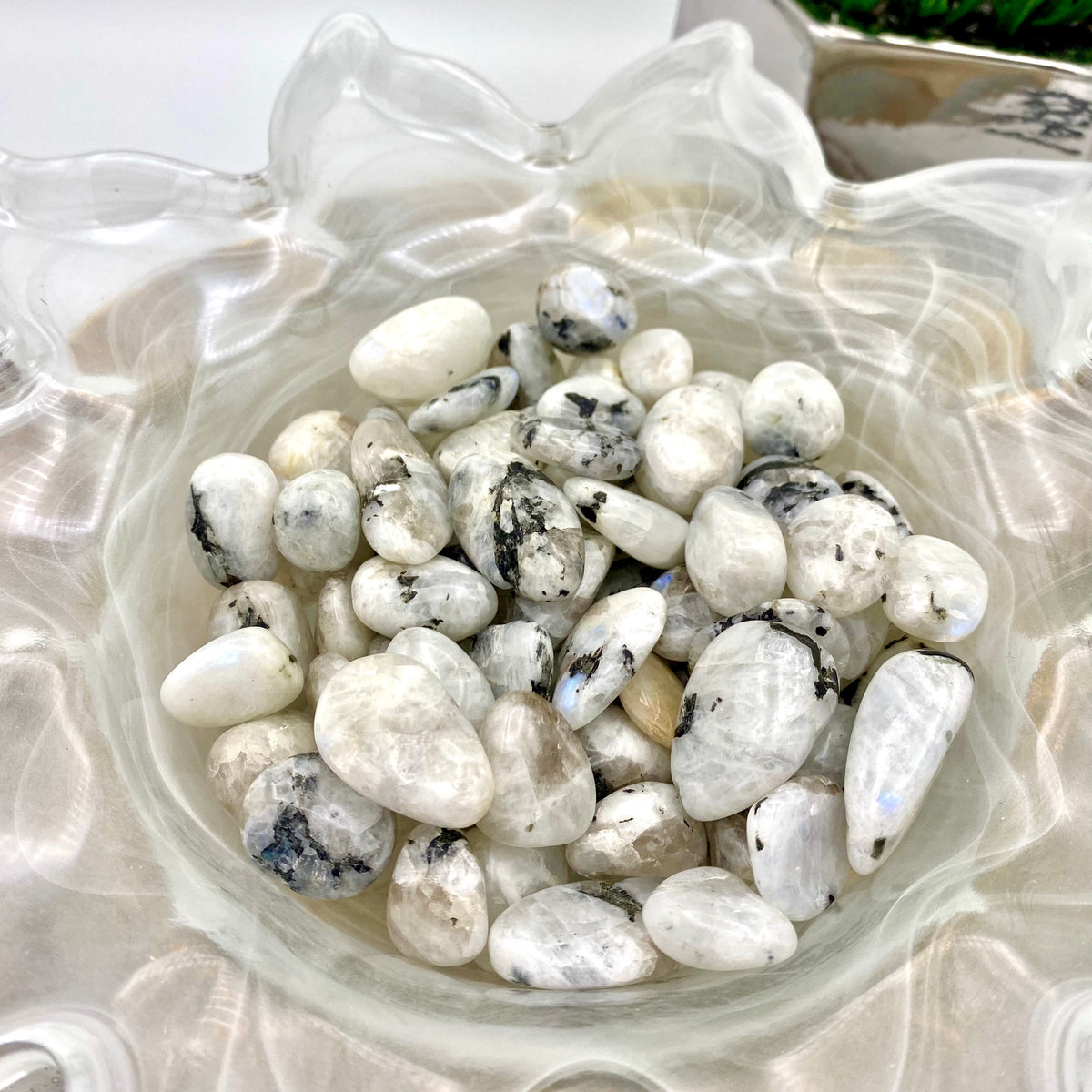 Rainbow Moonstone Tumbles w/ Flash