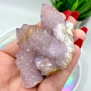 Amethyst Spirit Quartz / Cactus Quartz Cluster #4