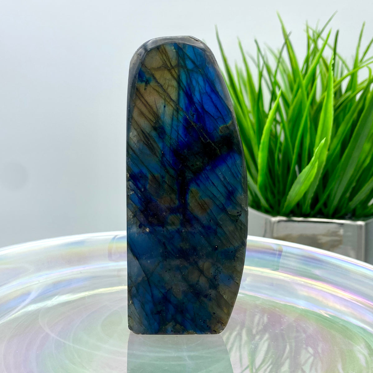 Labradorite Freeform #6