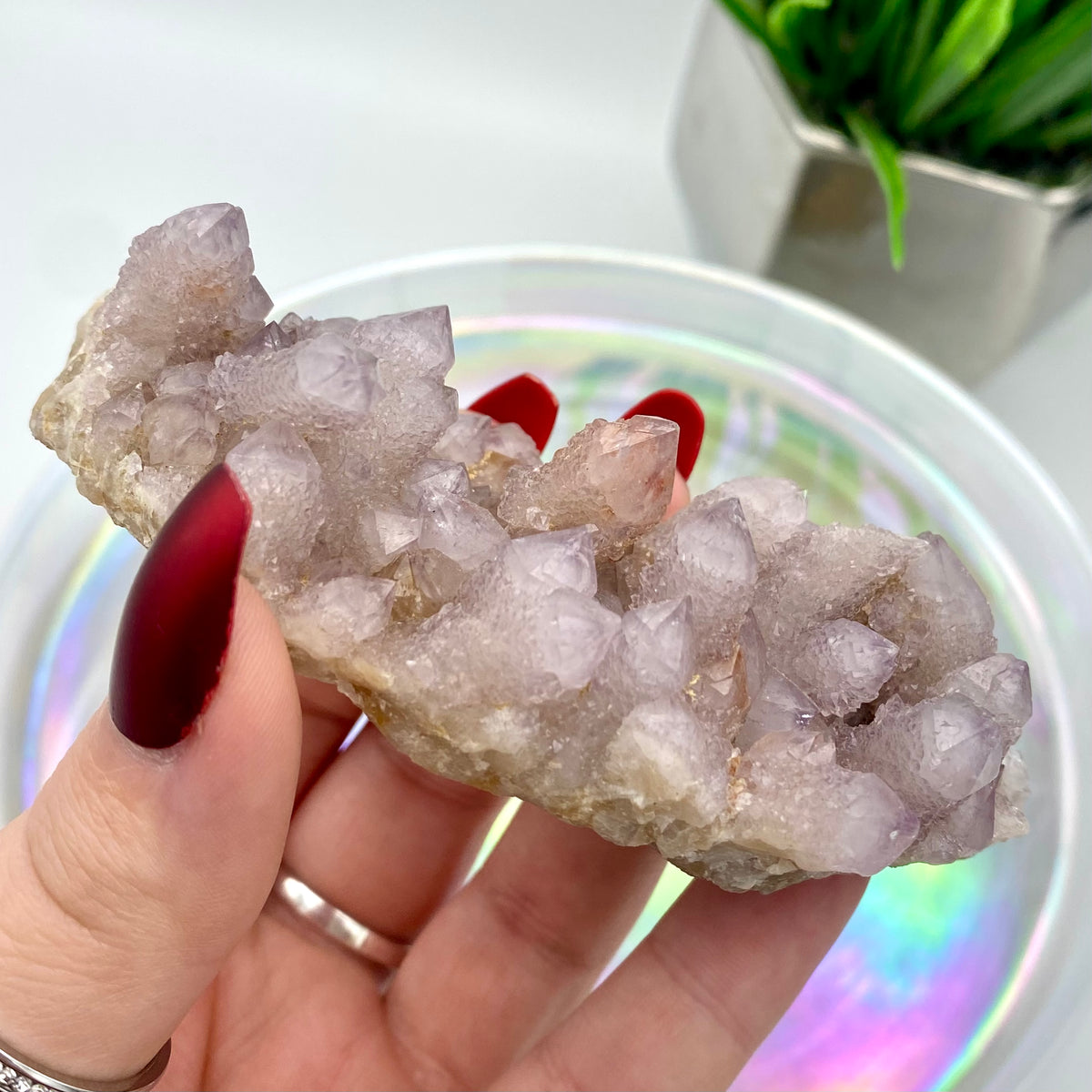 Amethyst Spirit Quartz / Cactus Quartz Cluster #3