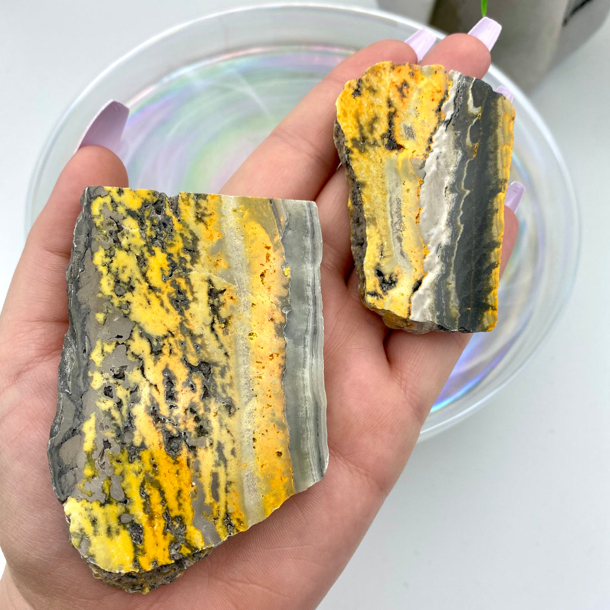 Bumblebee Jasper Slabs