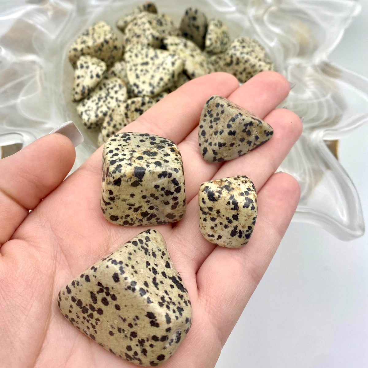 Dalmation Jasper Tumbles