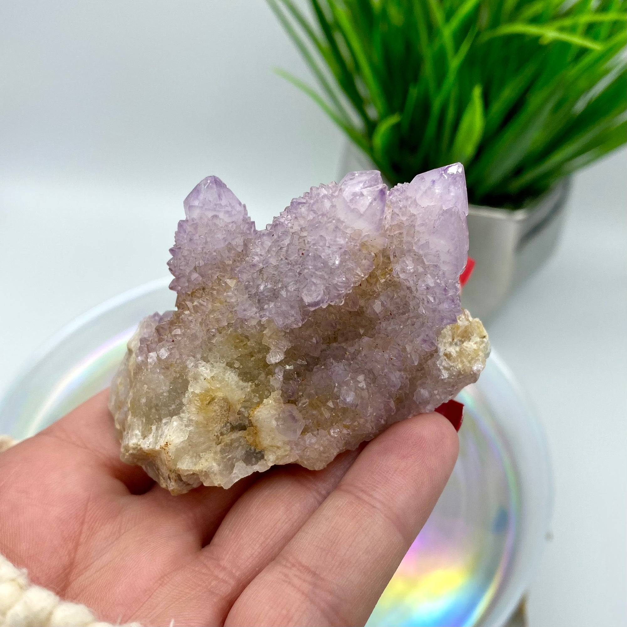 Amethyst Spirit Quartz / Cactus Quartz Cluster #1