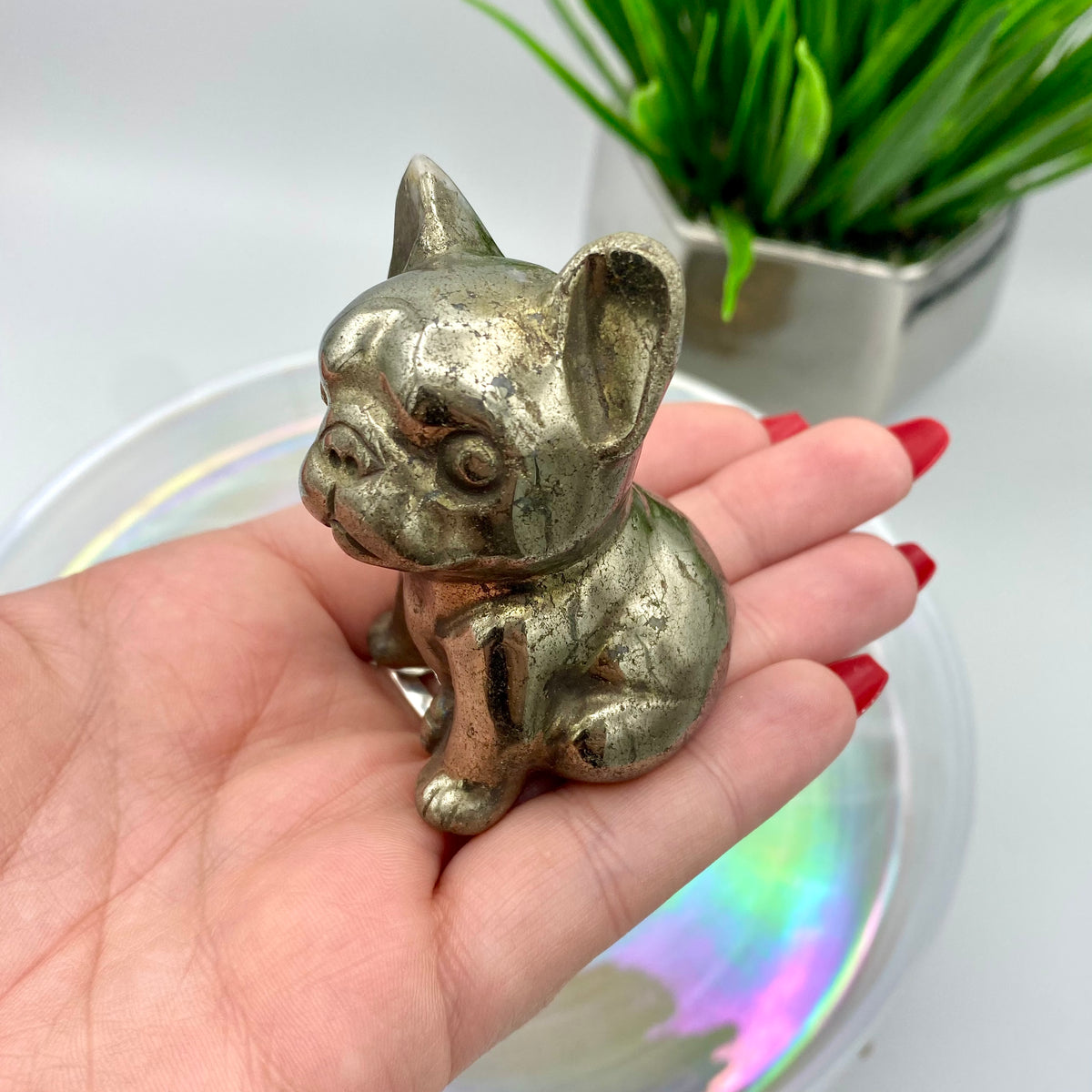 Pyrite Dog