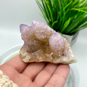 Amethyst Spirit Quartz / Cactus Quartz Cluster #1