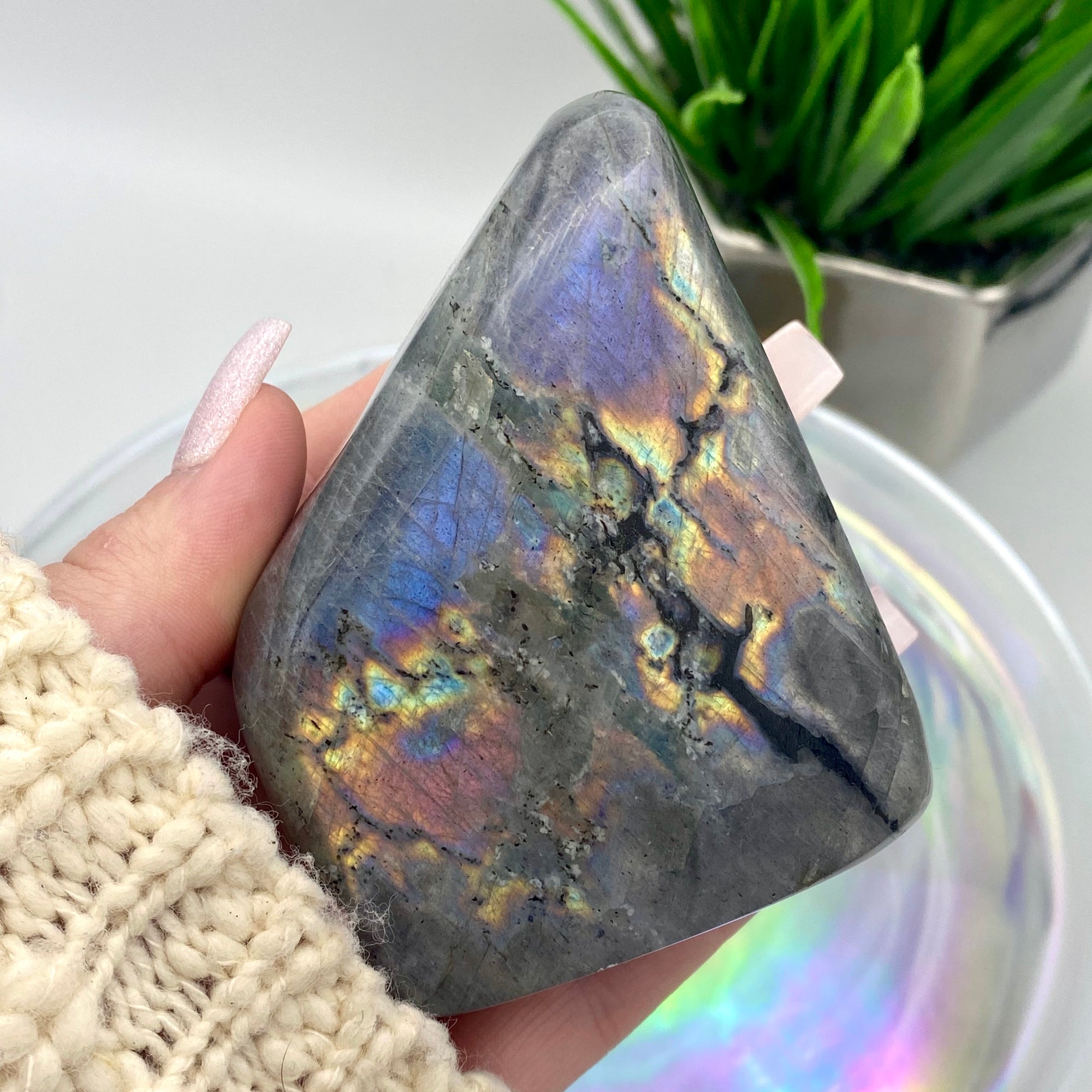 Purple Flash Labradorite Freeform