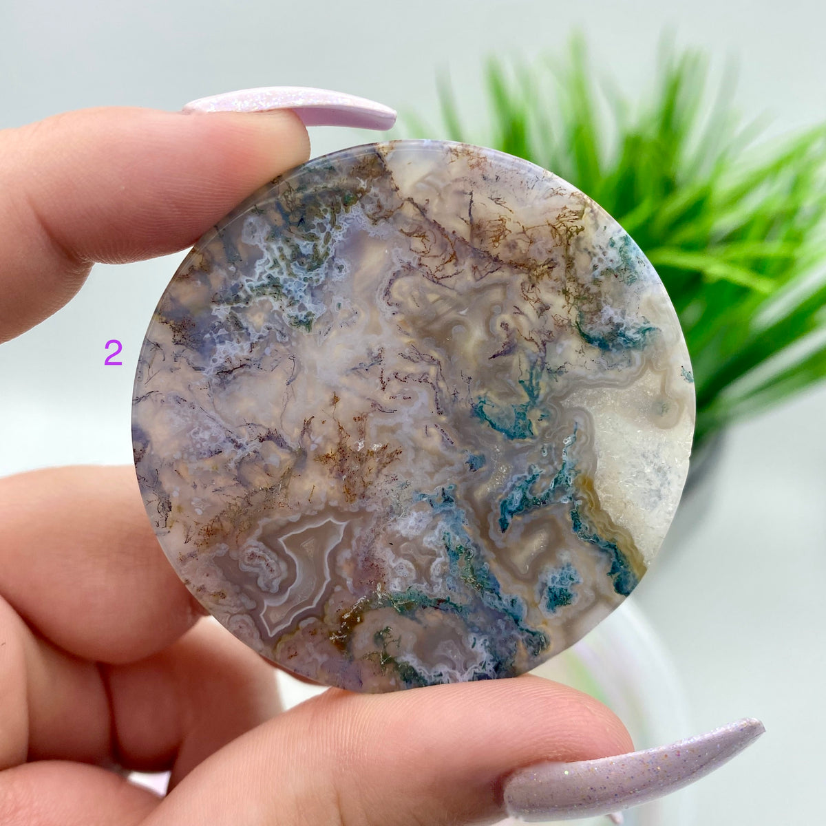 Moss Agate Round Slabs
