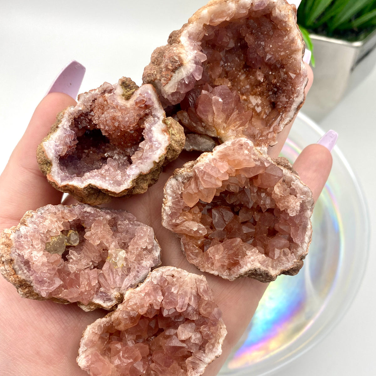 Pink Amethyst Geodes