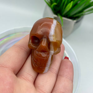 Carnelian Skull #3