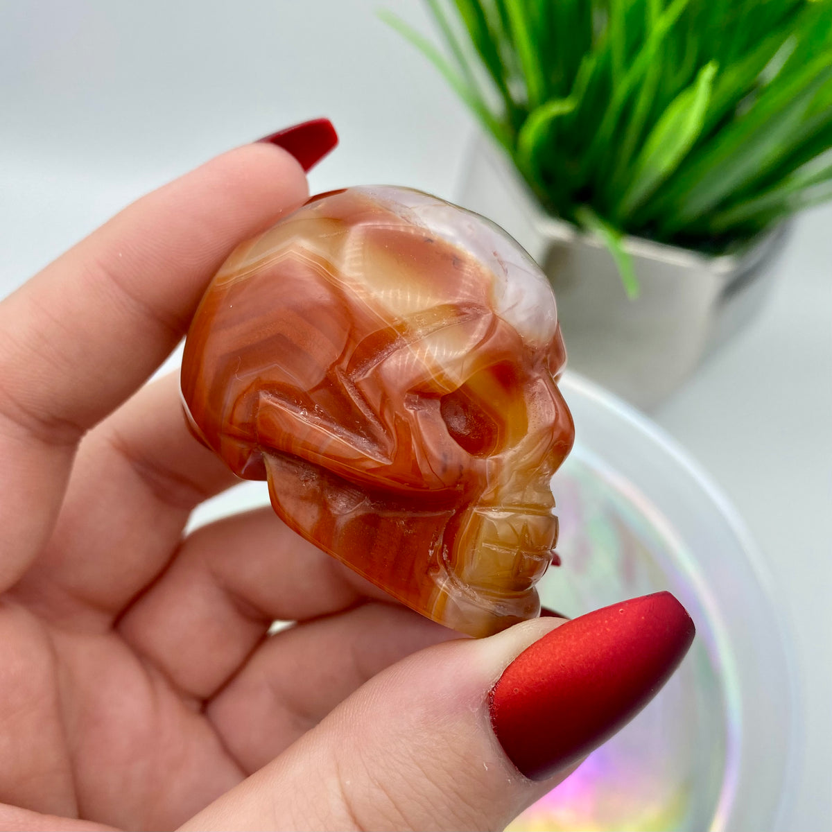 Carnelian Skull #2