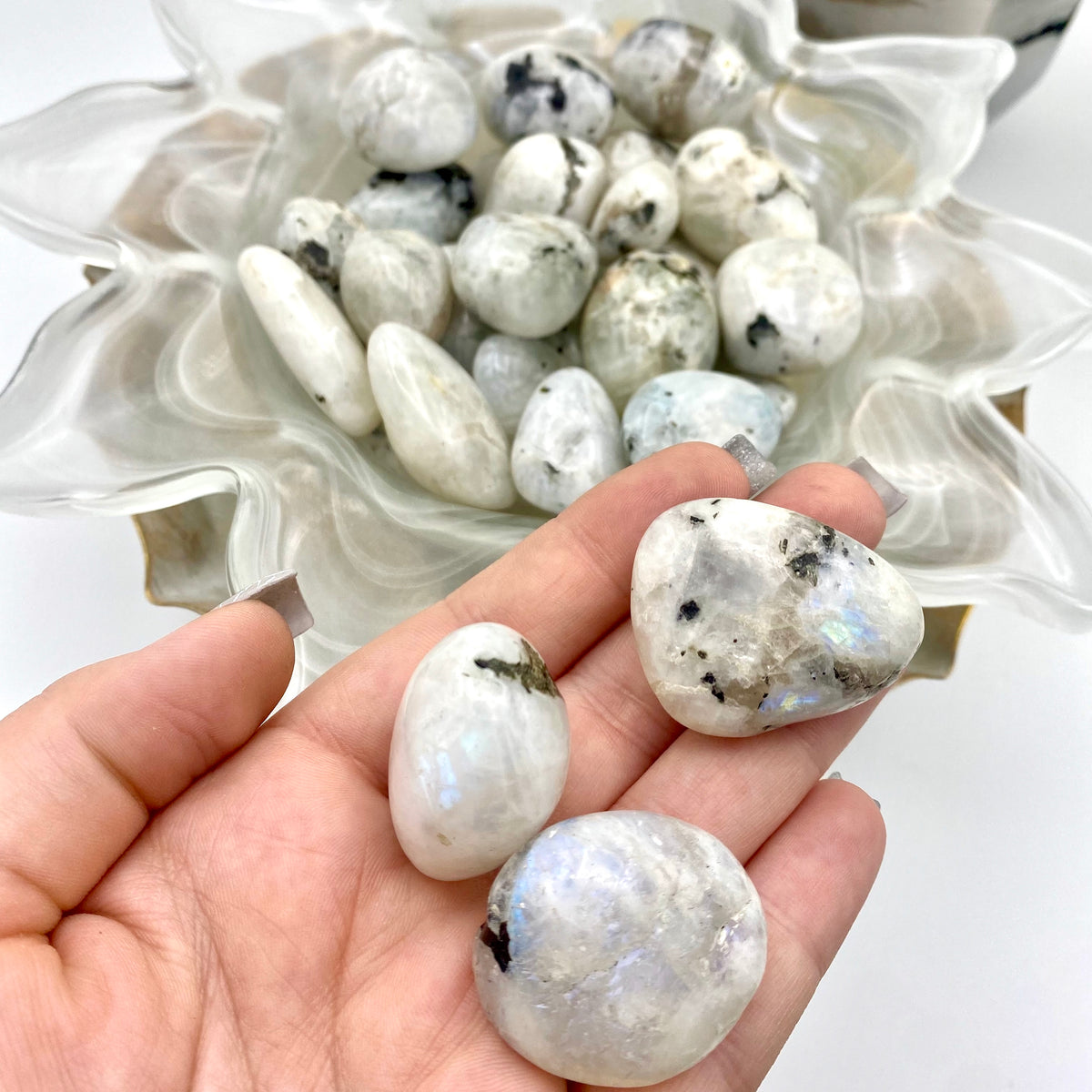 Rainbow Moonstone Tumbles w/ Flash